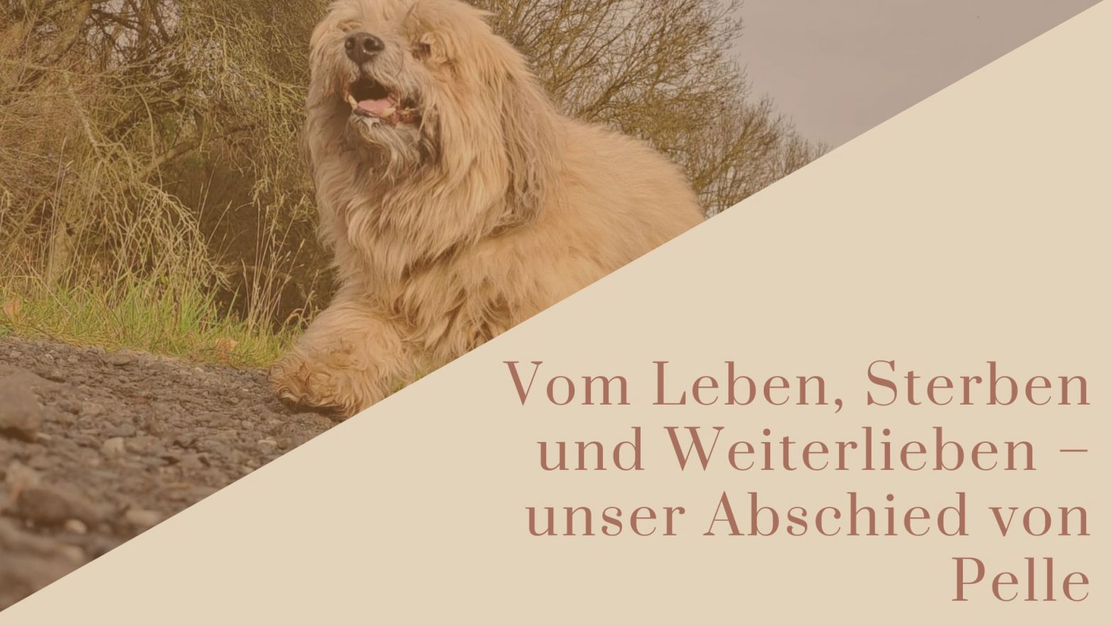 Unser Abschied von Pelle